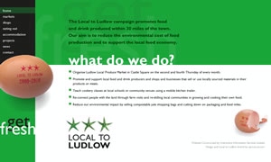 Local to Ludlow website image