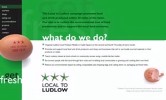 Local to Ludlow Website